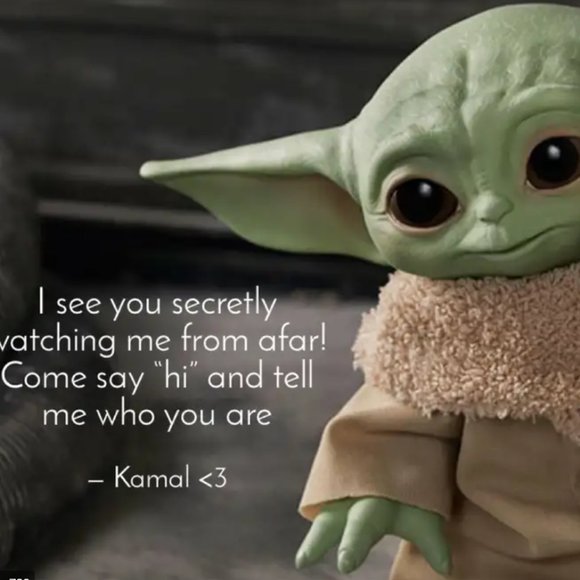 Meet your Posher, Dina - Picture 14 of 14